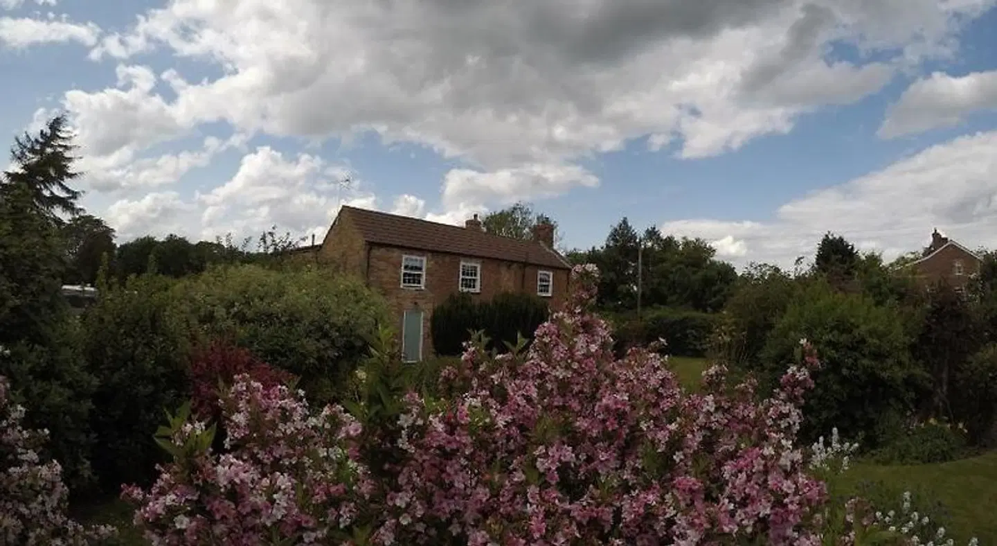 The Vine B & B EXTERIOR