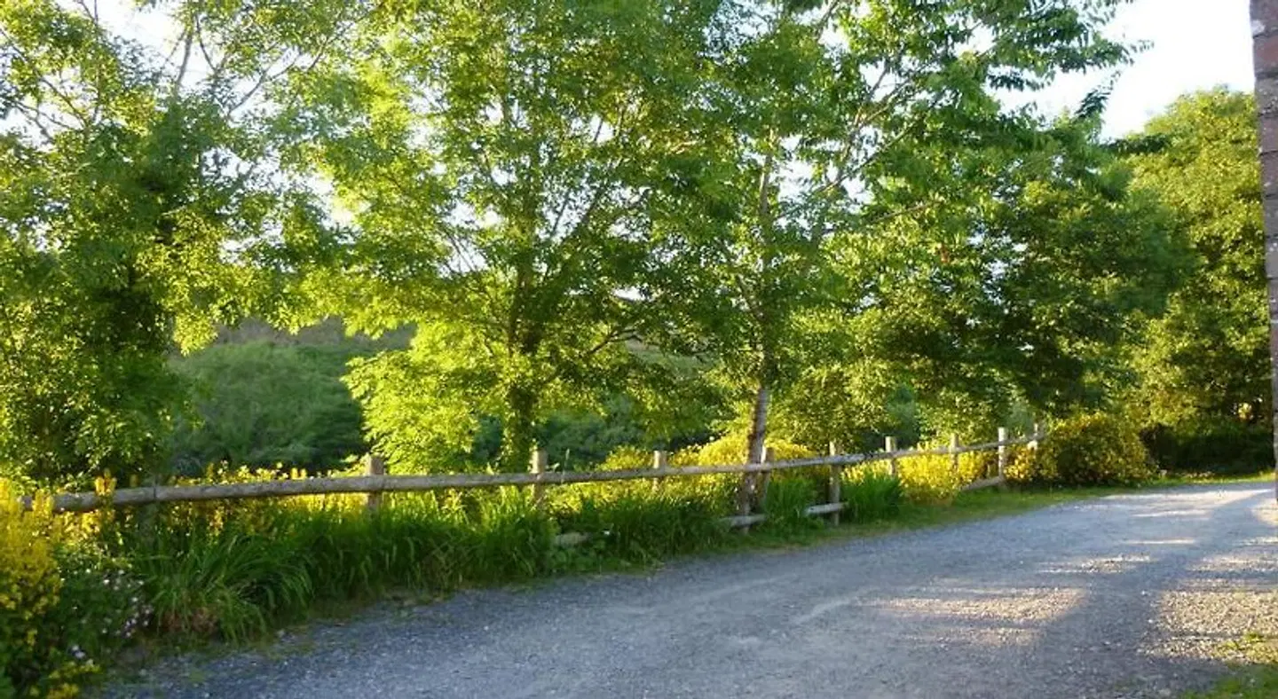 Nantgwynfaen Organic Farm B&B Wales Garten