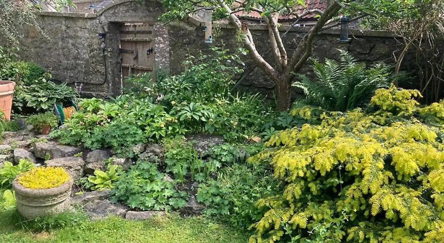 Maplestone Hall LANDSCAPE