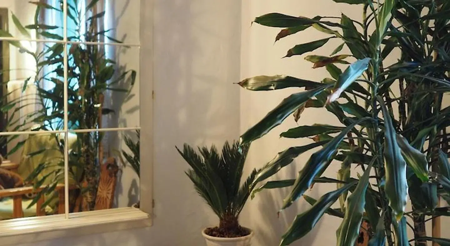 Haus Dorothee ROOM_EXAMPLE
