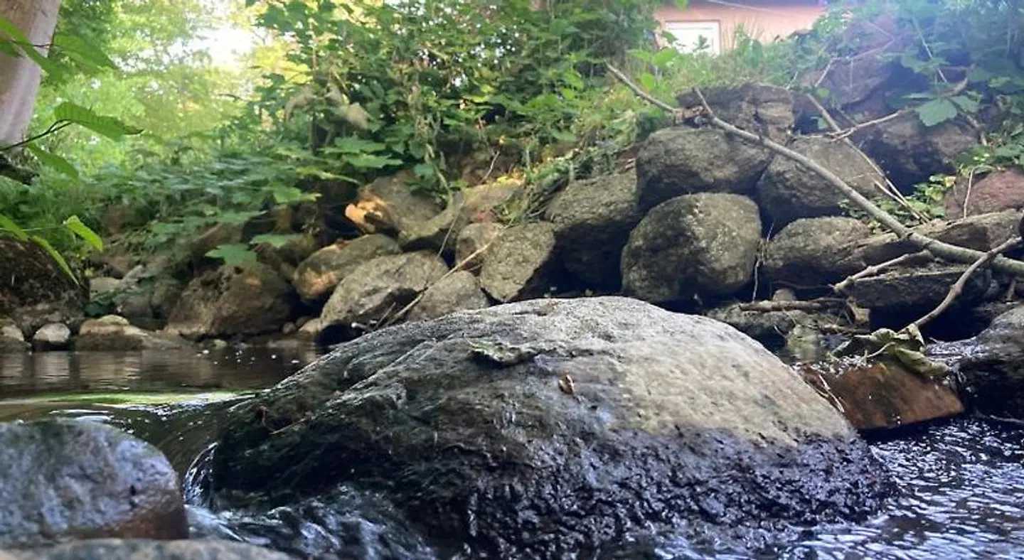 Residens Svalhøj LANDSCAPE