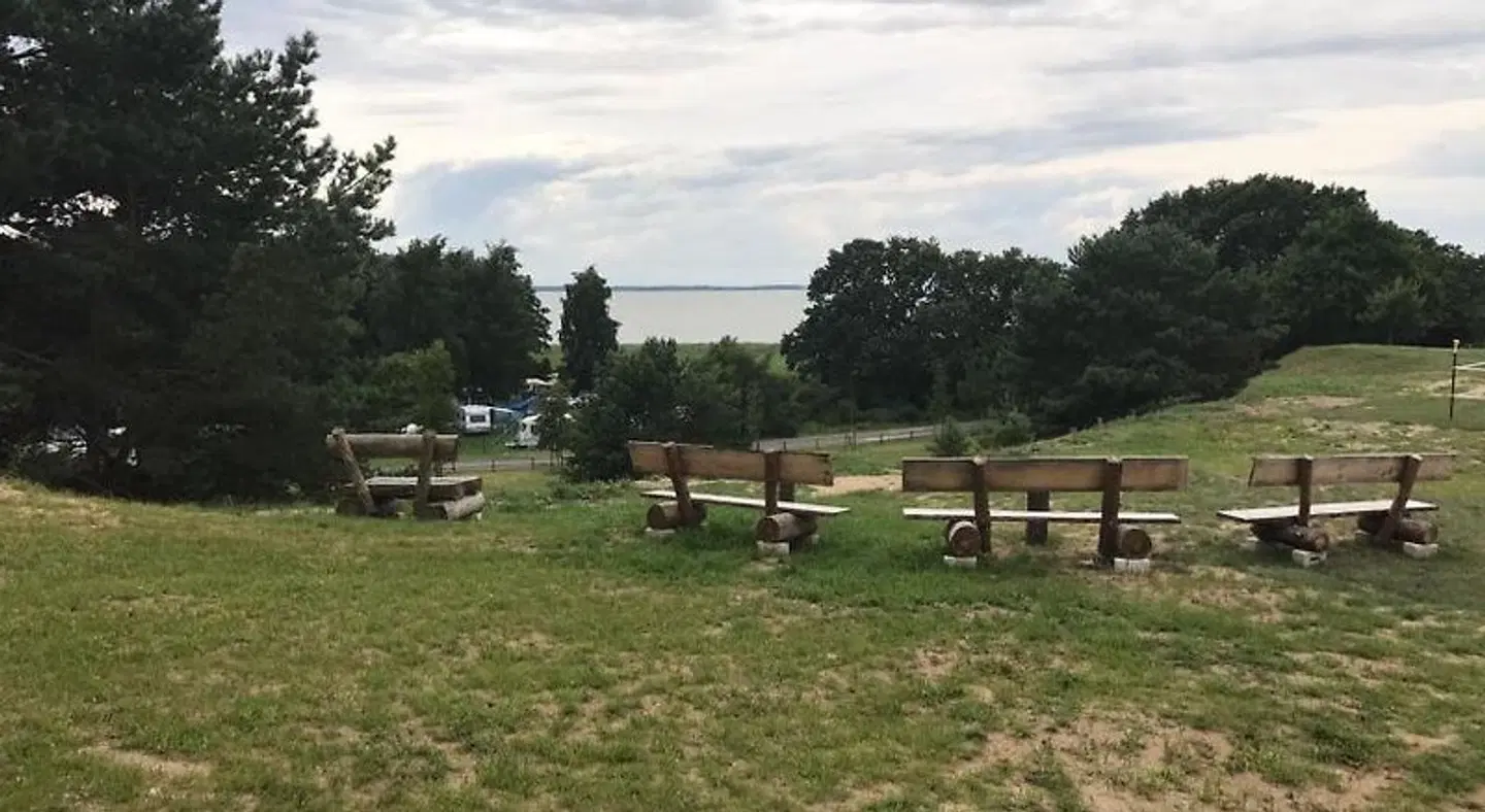 Bungalow Ückeritz Tiere