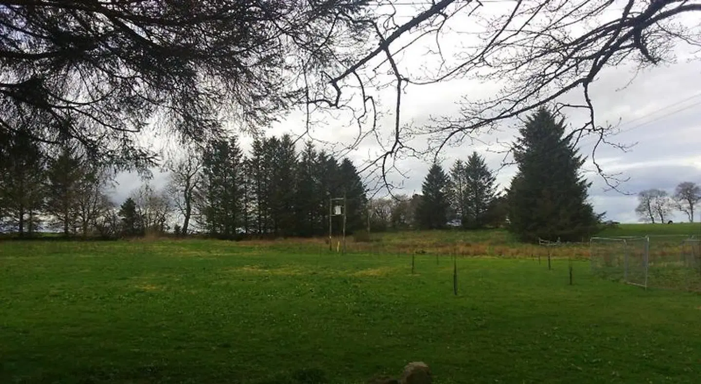 Disblair House LANDSCAPE