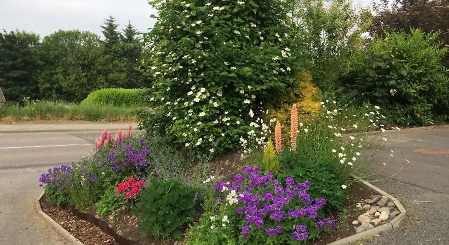 Deveron Lodge B&B Guest House Garten