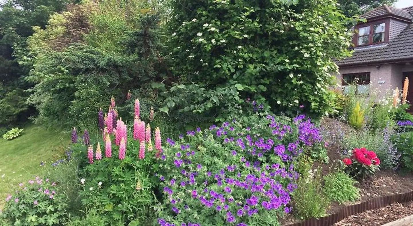 Deveron Lodge B&B Guest House LANDSCAPE
