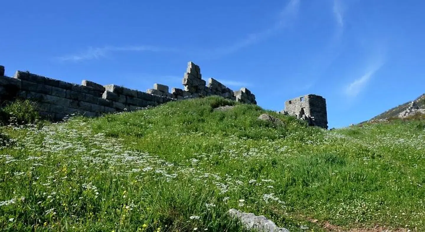 Messana LANDSCAPE
