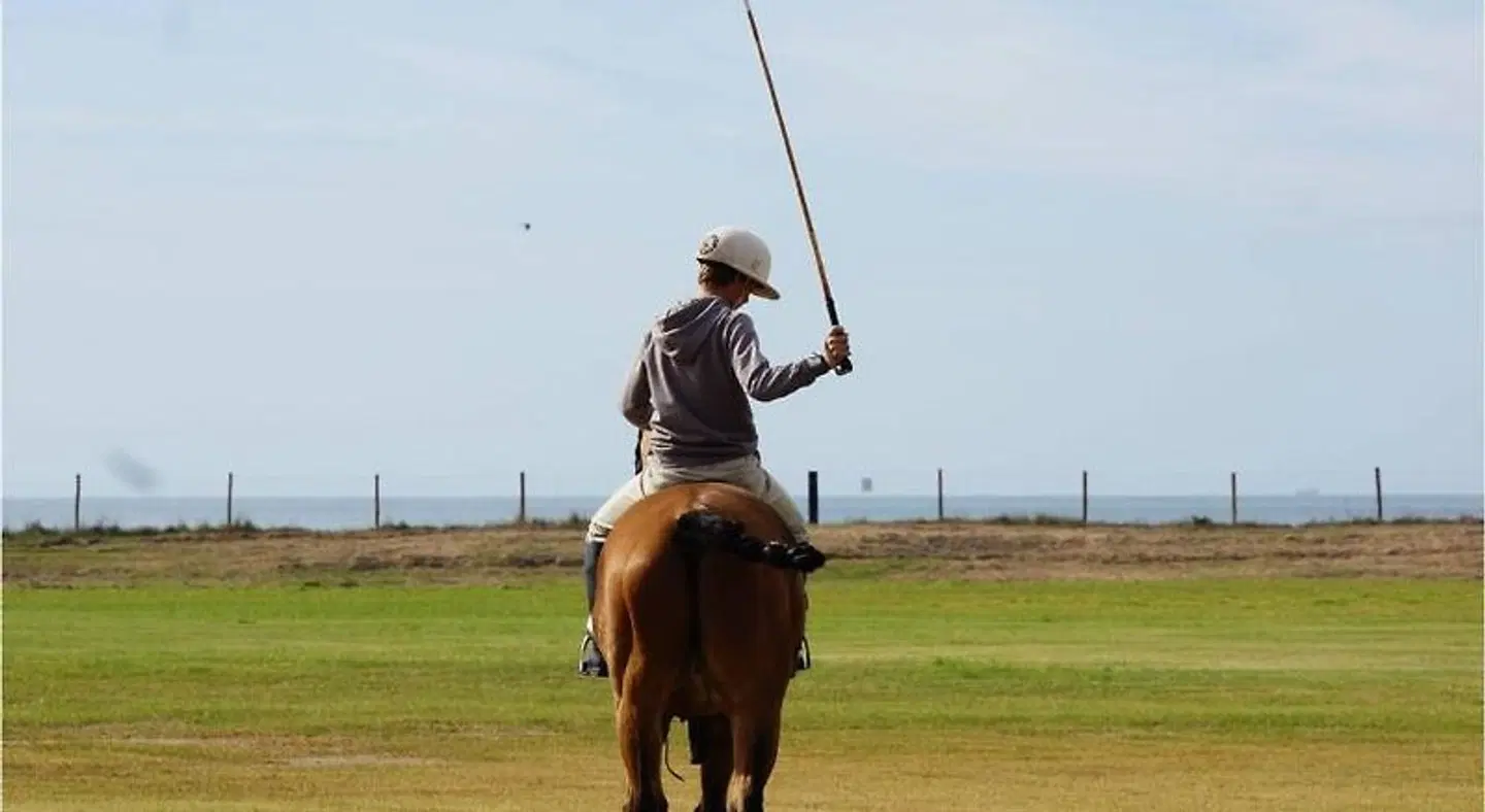 Trafalgar Polo Club SPORTS_AND_LEISURE