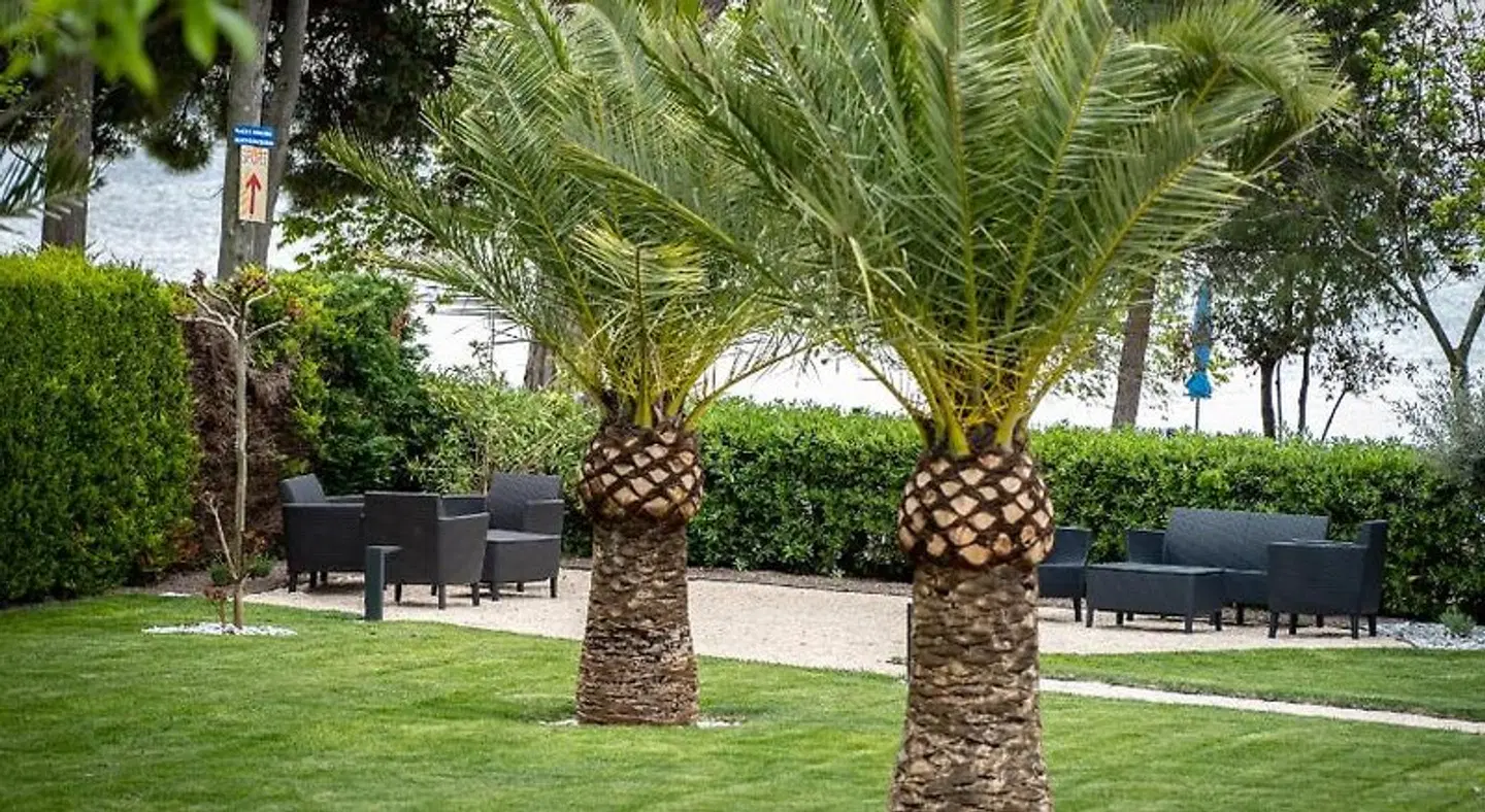 Hotel Villa Rosetta Garten