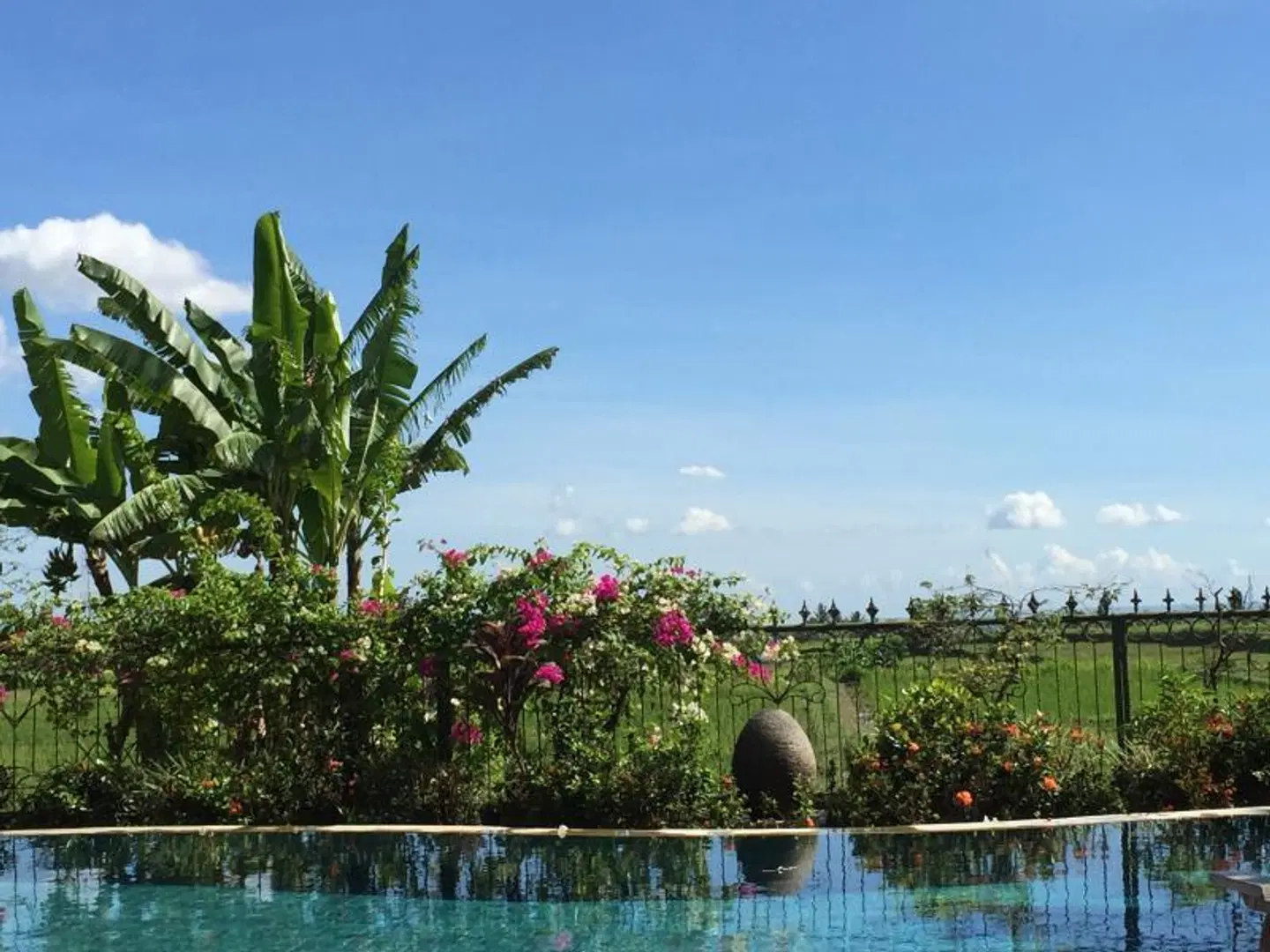 Devi's Place OUTDOOR_POOL