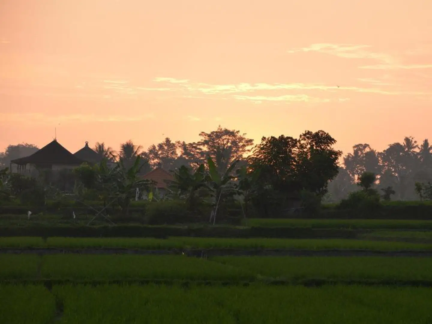 Devi's Place LANDSCAPE