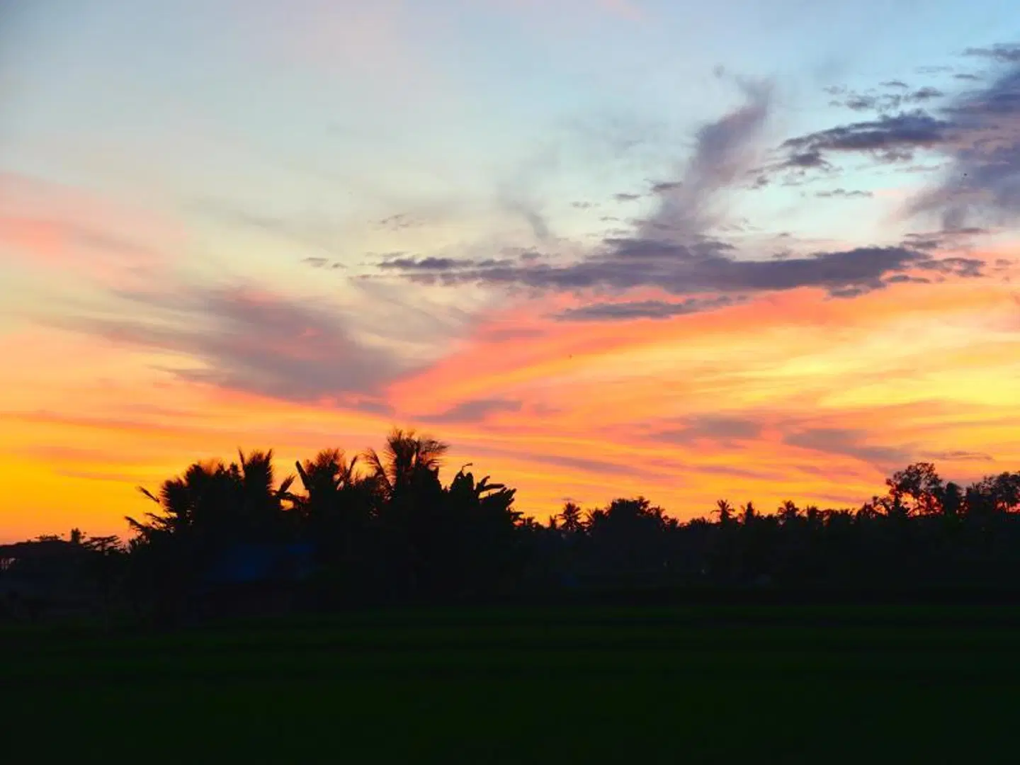 Devi's Place LANDSCAPE