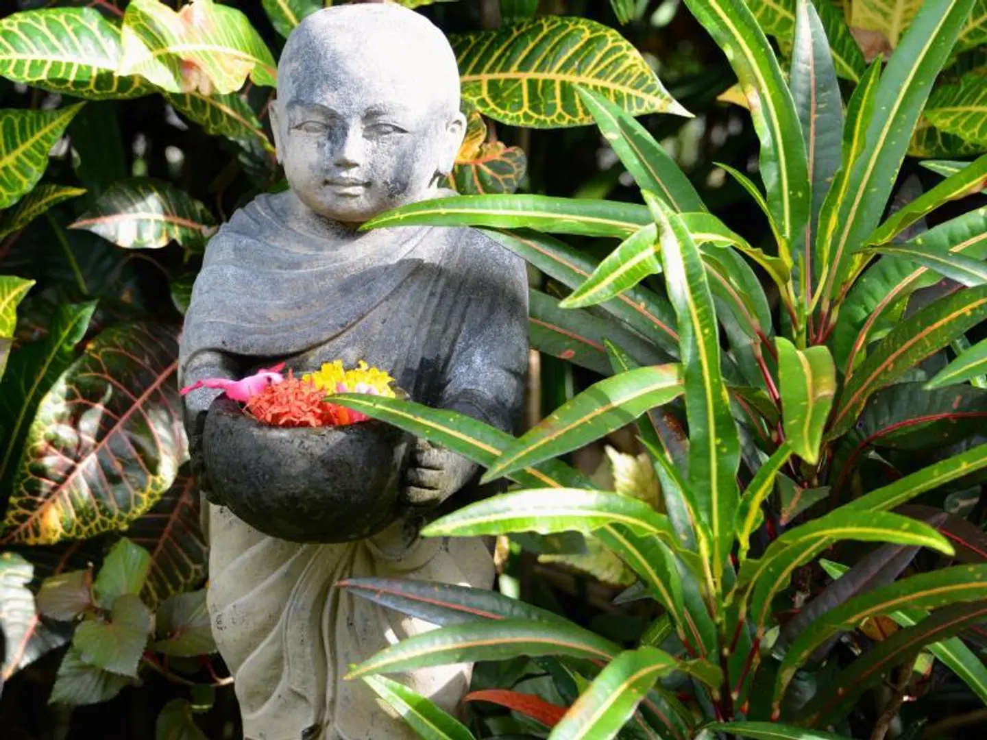 Devi's Place Tiere
