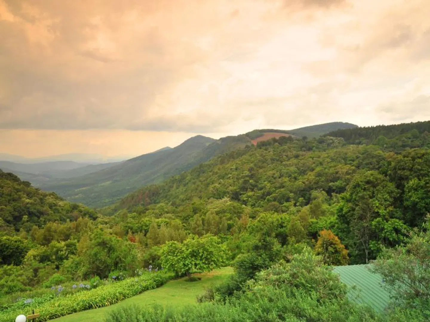 Magoebaskloof Hotel LANDSCAPE