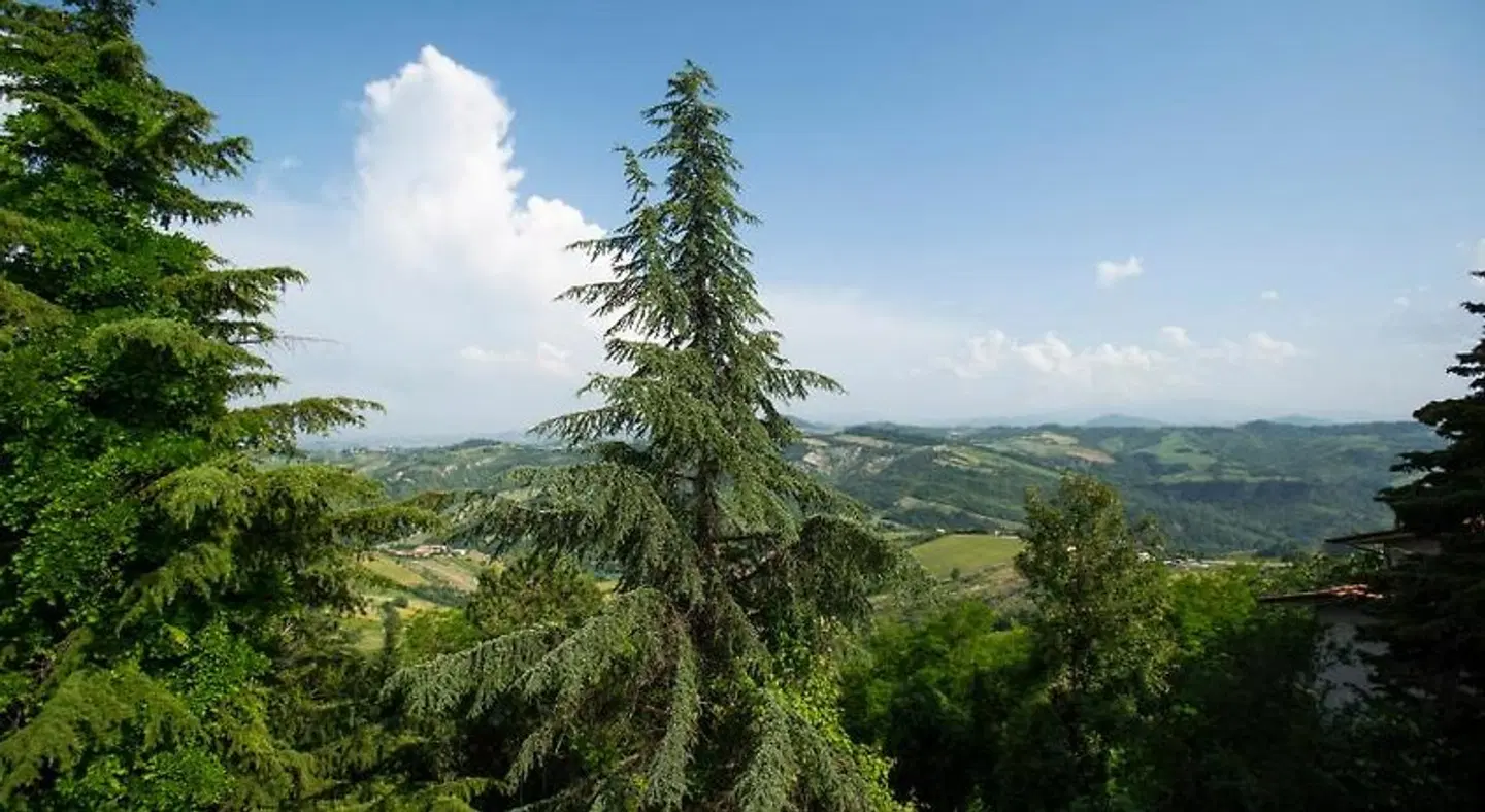 Il Giardino dei Frati LANDSCAPE