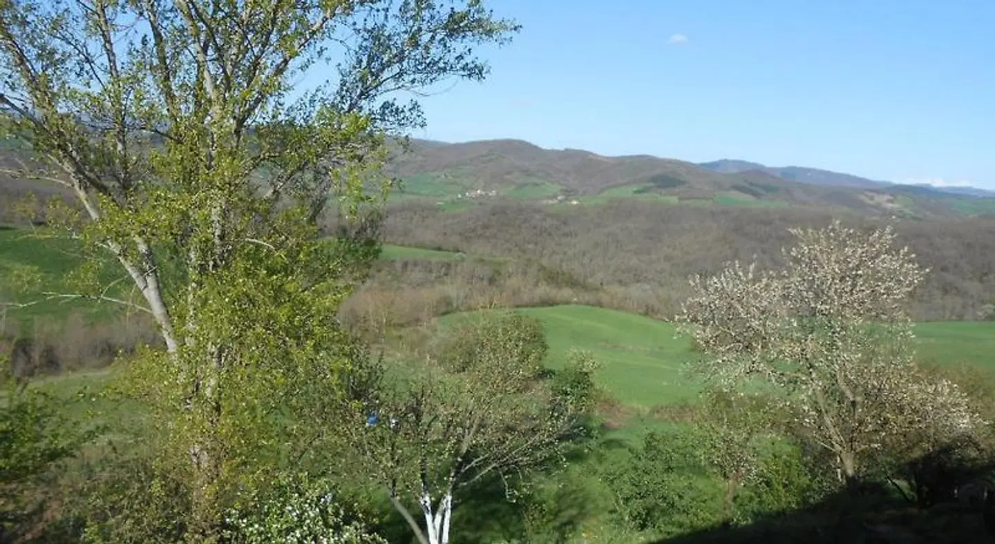 Chambre d'Hôtes et Gîte des Monts LANDSCAPE