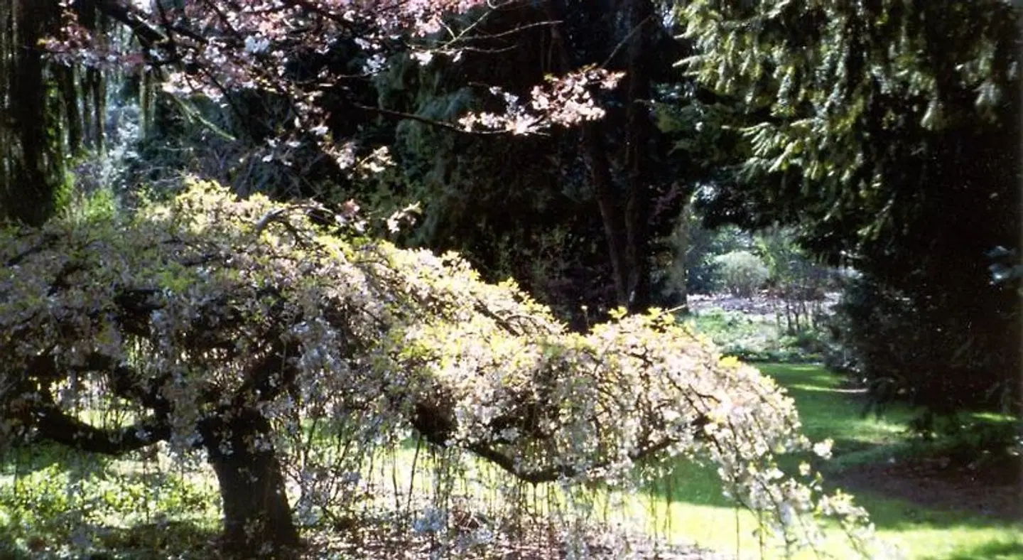 Casa Candana LANDSCAPE