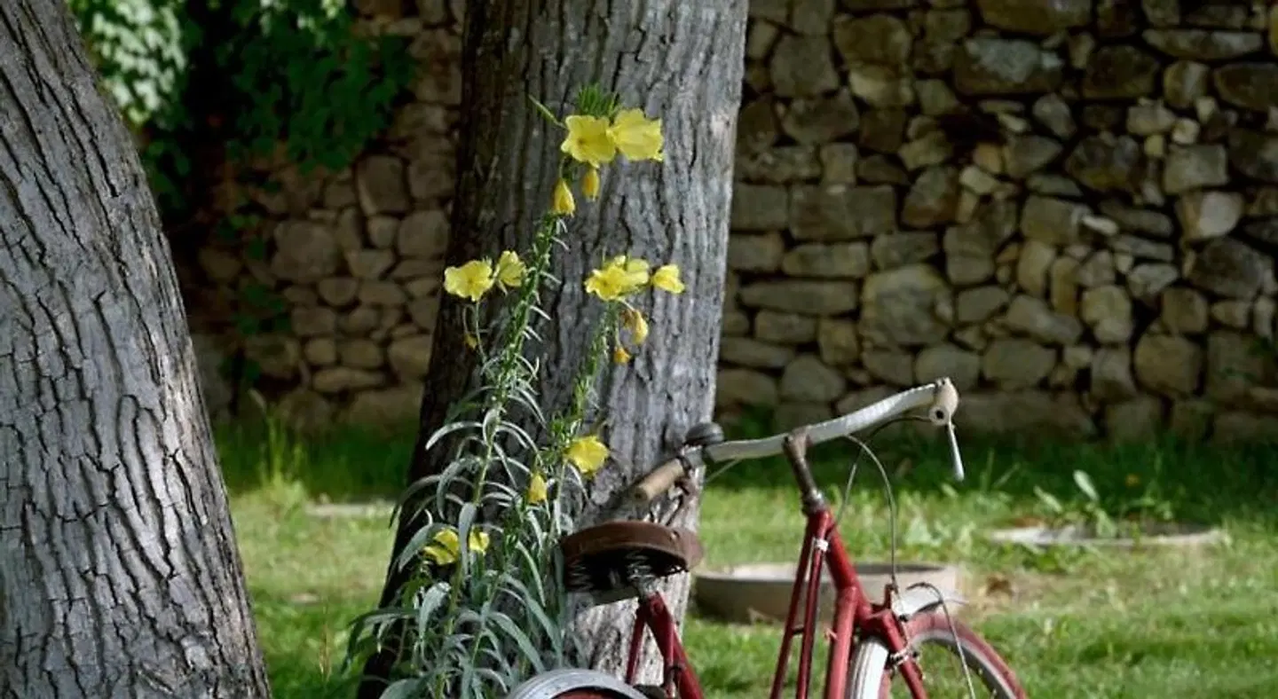 Charembeau SPORTS_AND_LEISURE