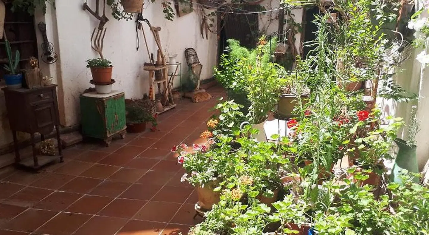 Fonda Del Tozal Garten