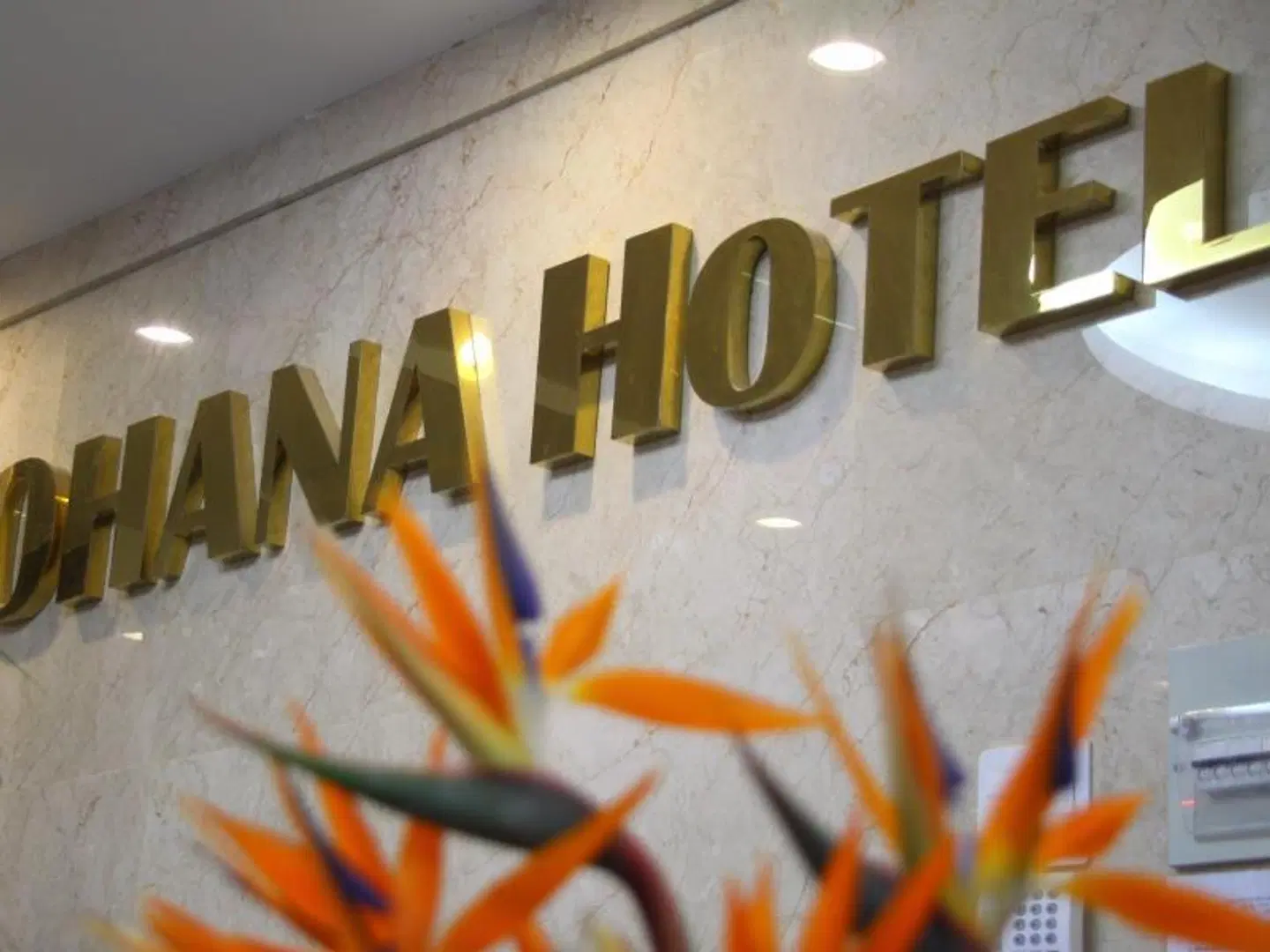 Ohana Hotel Hallenbad