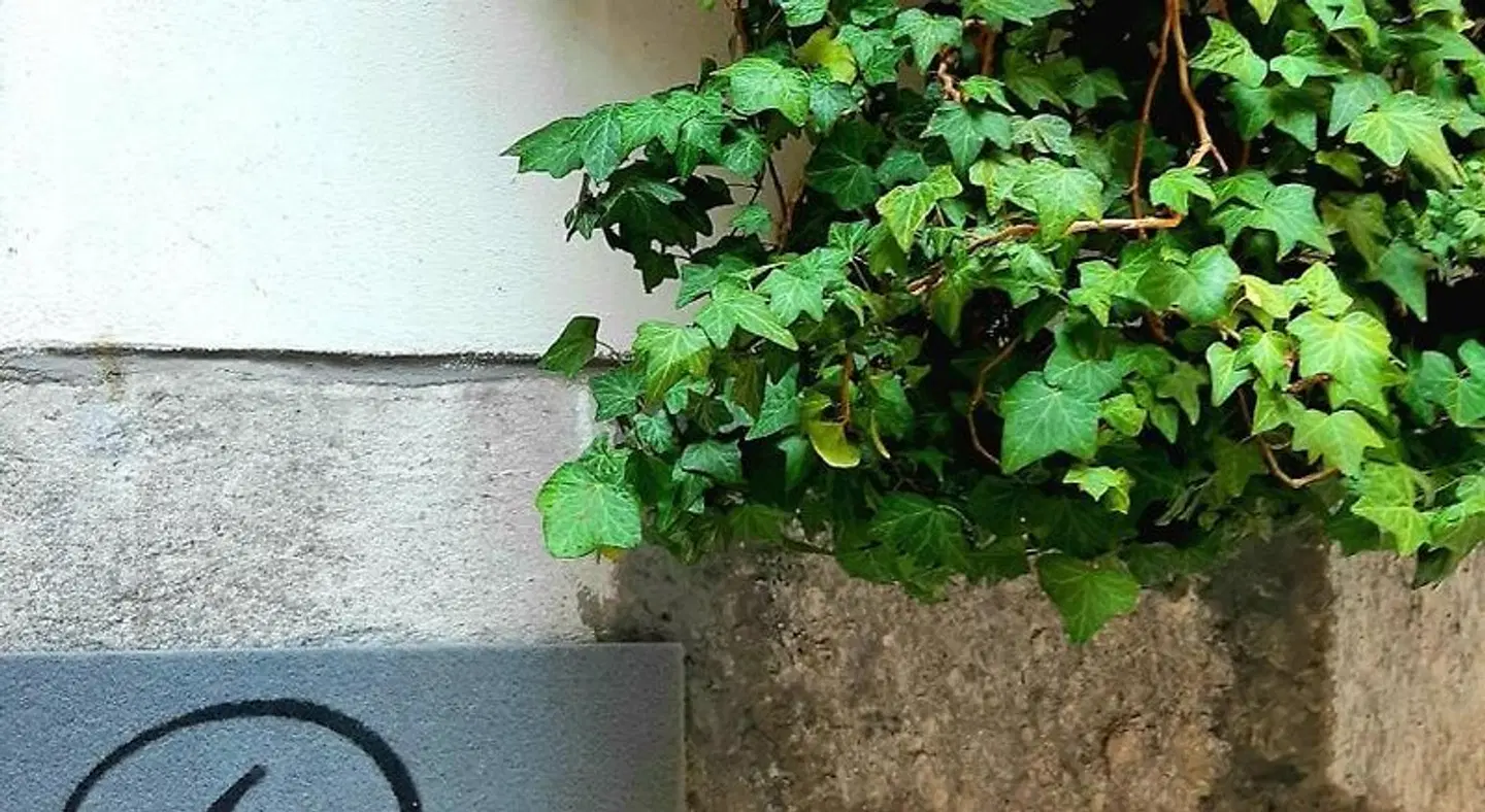 Room Inn Garten