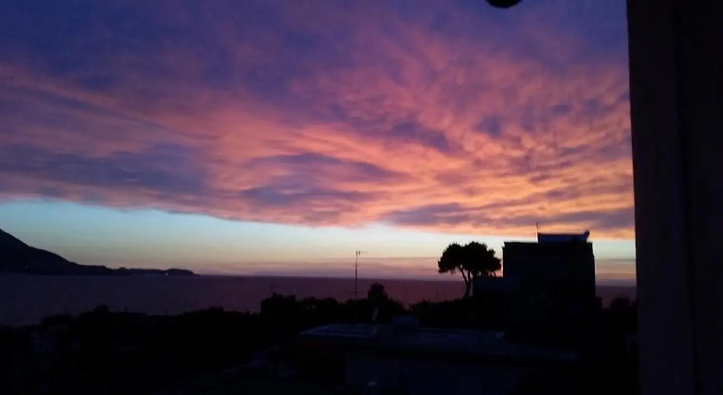 Belvedere LANDSCAPE