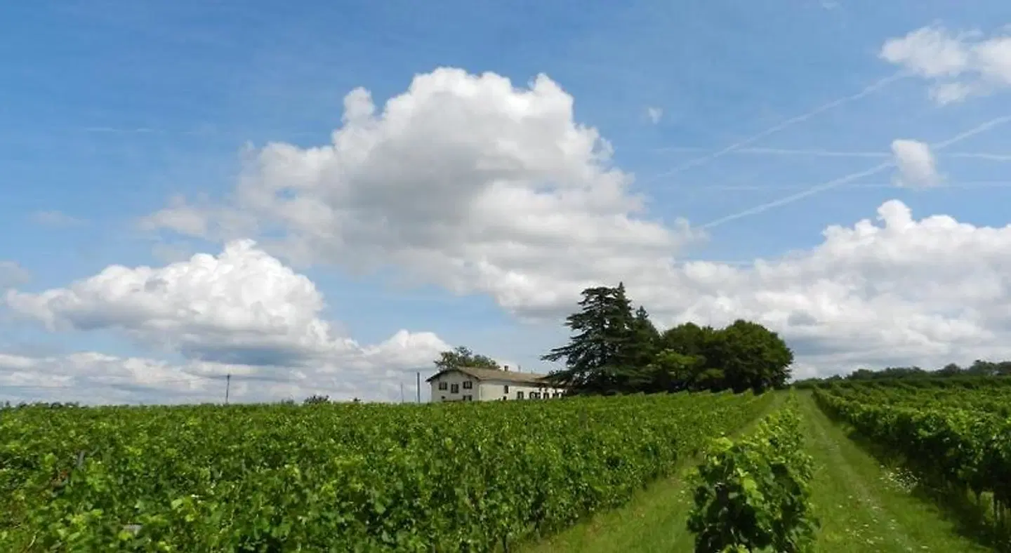 Vandenbeld Wines B&B LANDSCAPE