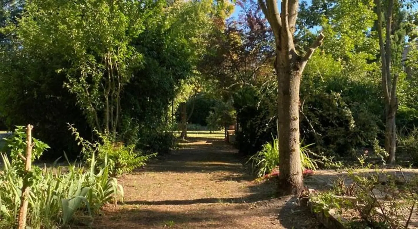 Gîte Le Papillon - Le Cocon de Curson Garten