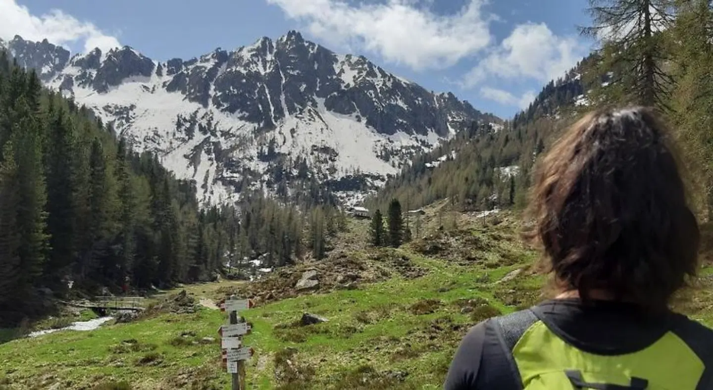Albergo Chalet Abete Rosso LANDSCAPE