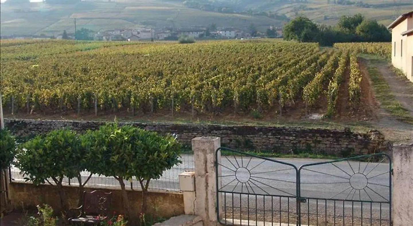 La Vigneraie LANDSCAPE