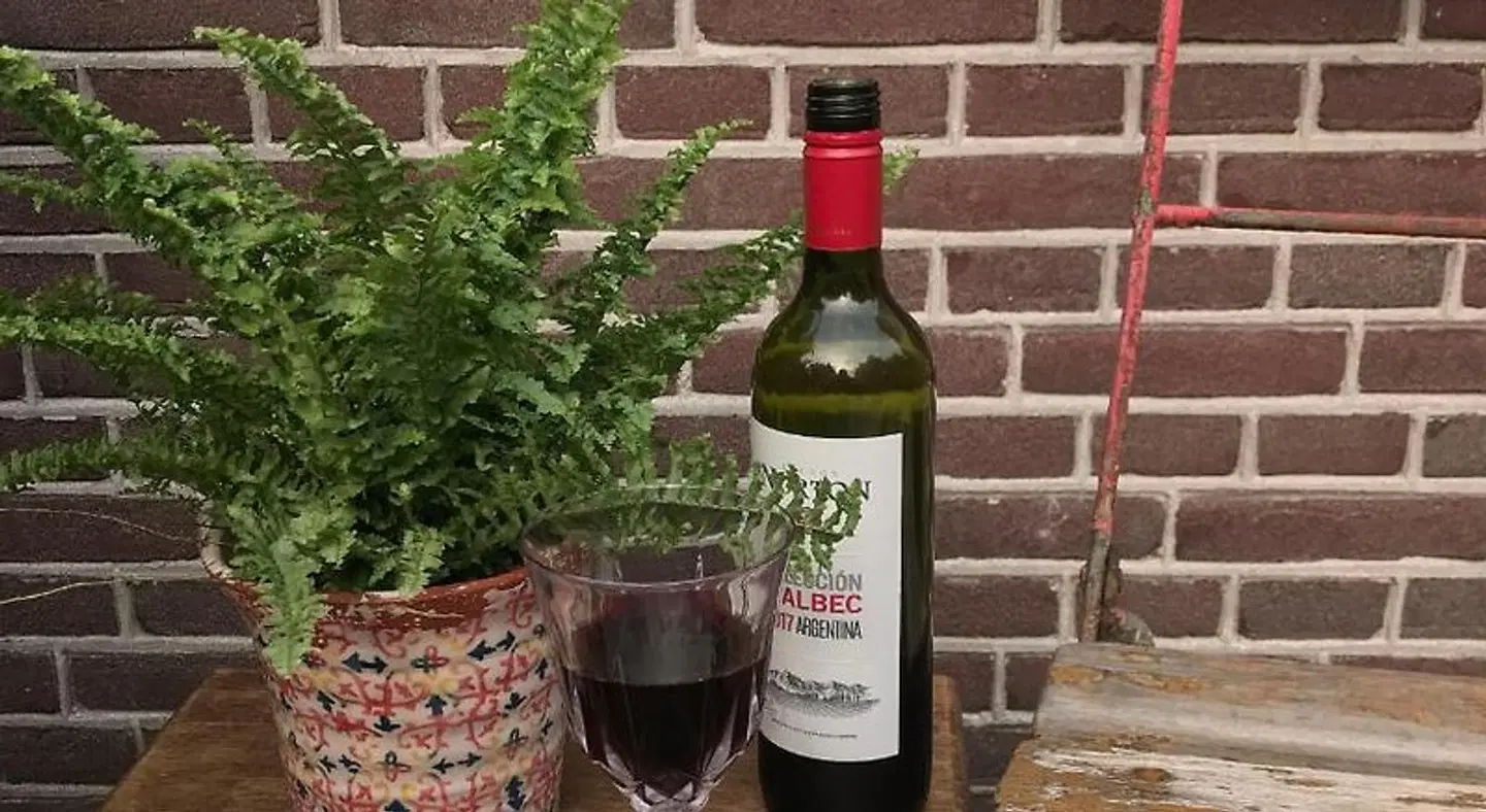 De Pelgrimsplaats Terrasse