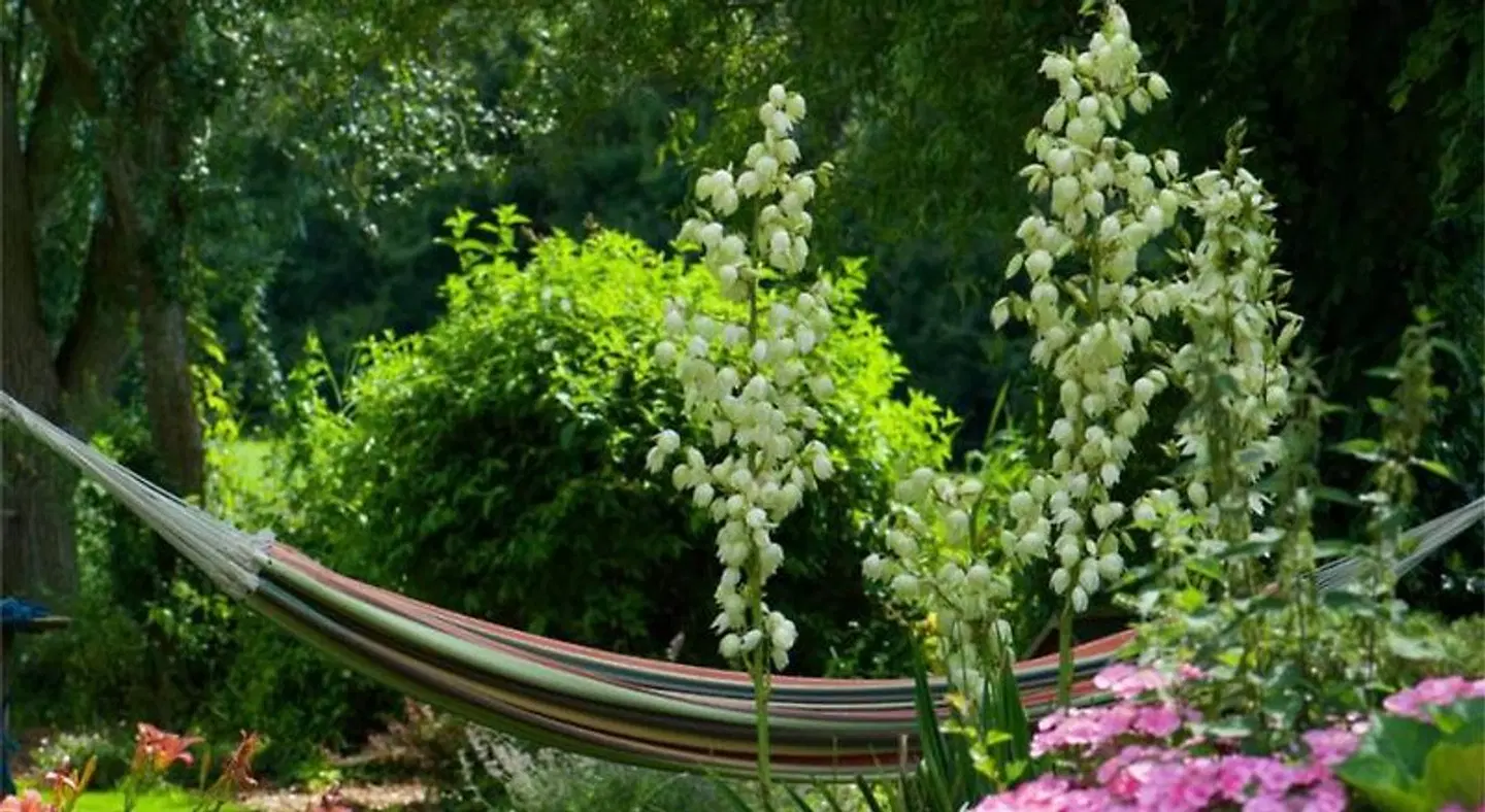B&B op Landgoed Koepeltjesplaats Garten