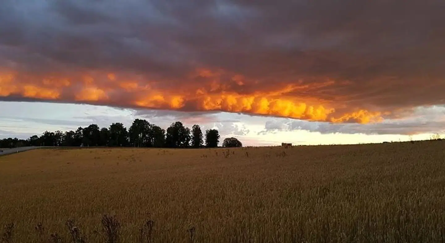 Håknäs Vandrarhem LANDSCAPE