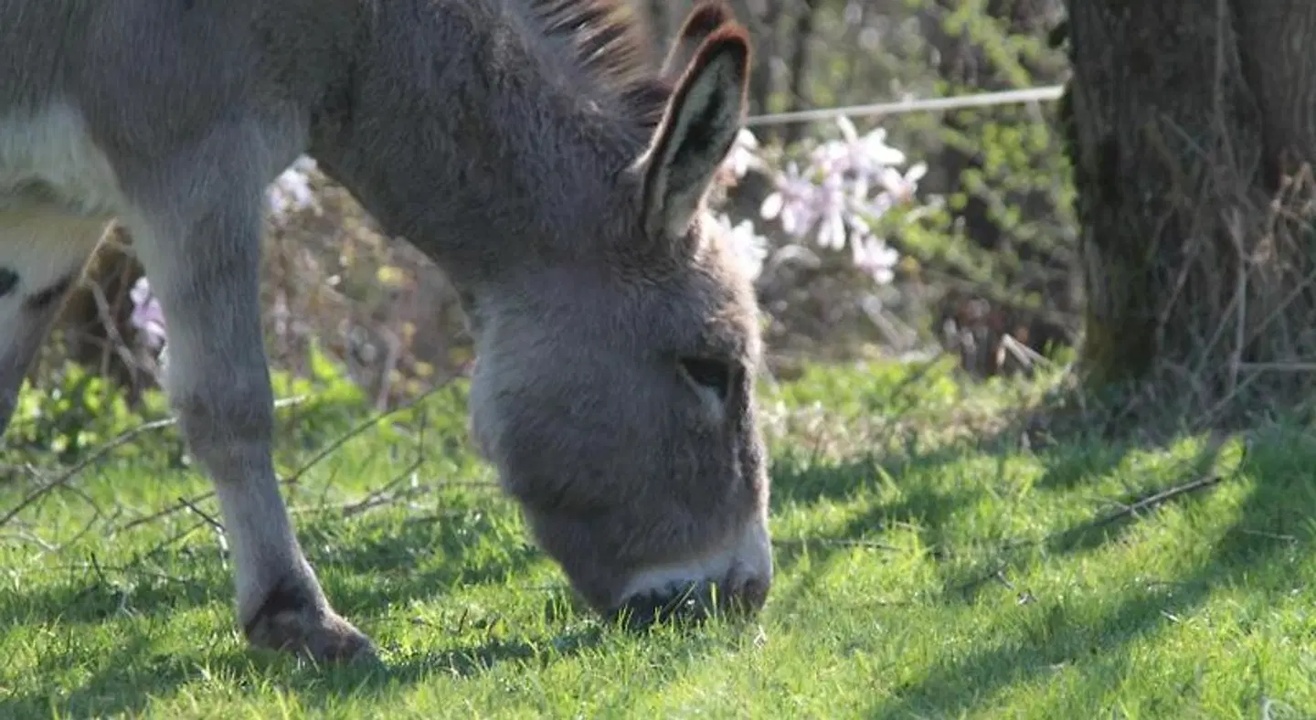 Ô Saveur de l'Instant Tiere