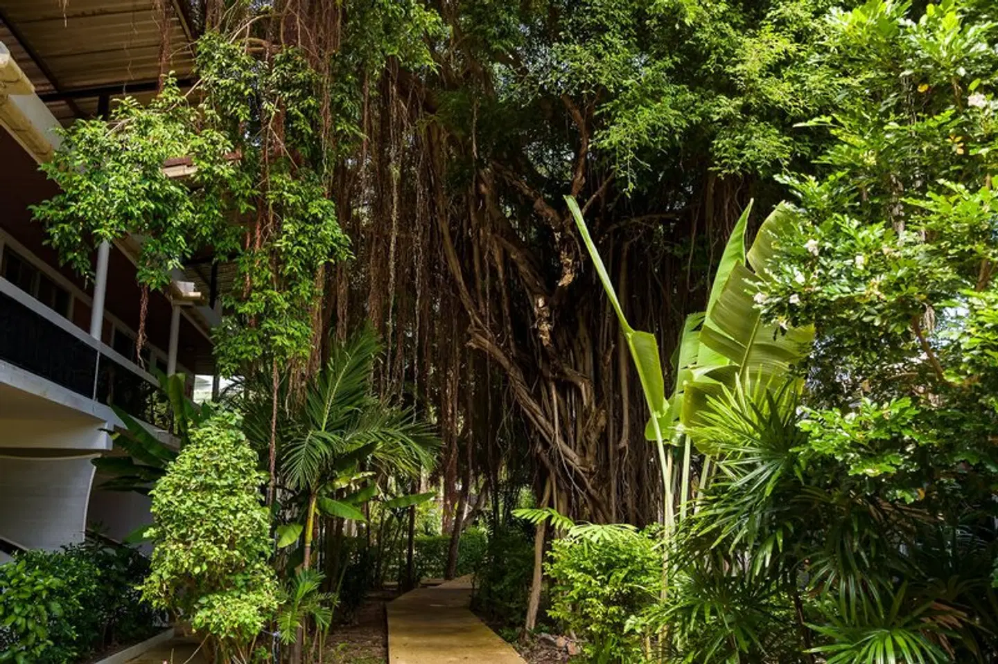 4U Resort Samui Garten