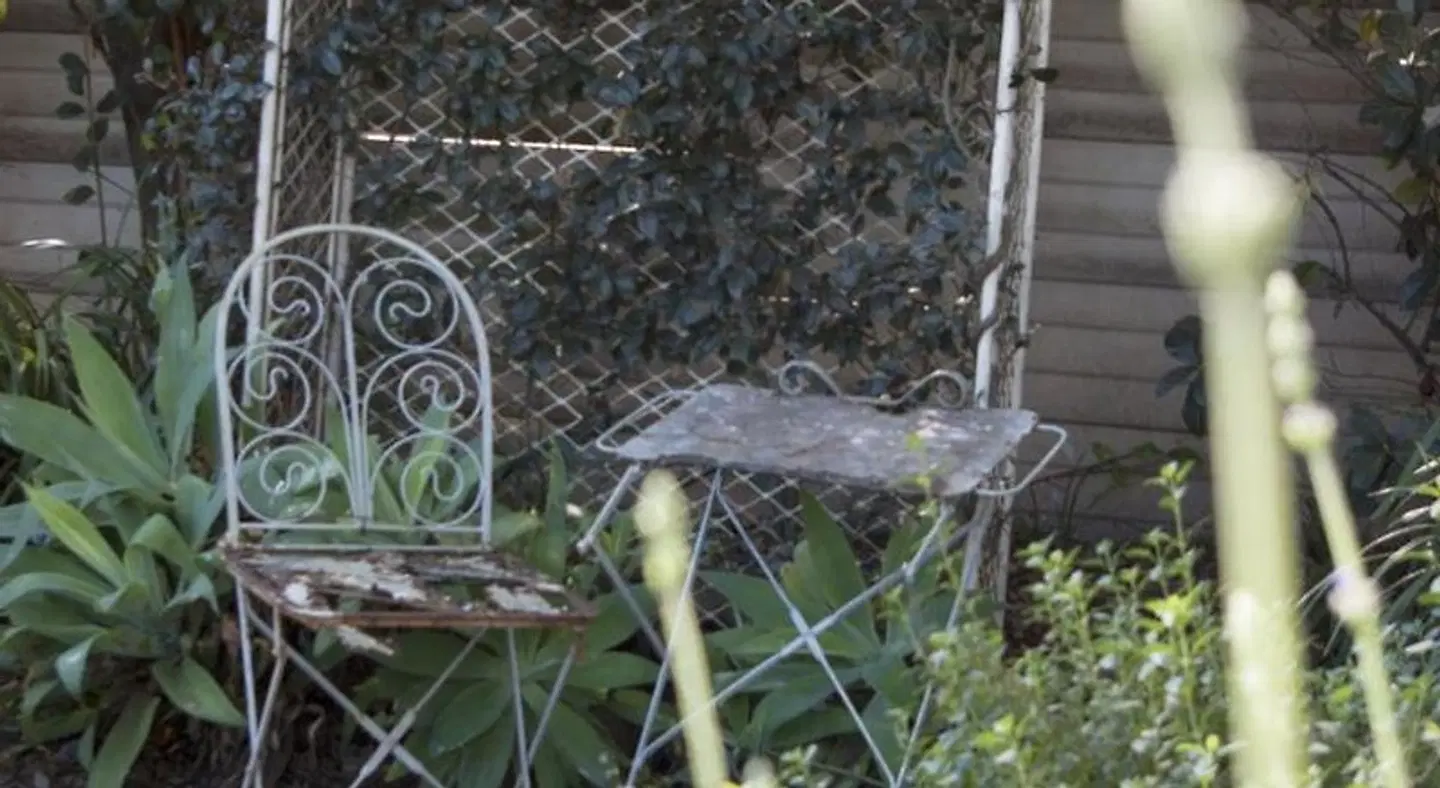 Tancredi B&B Tiere