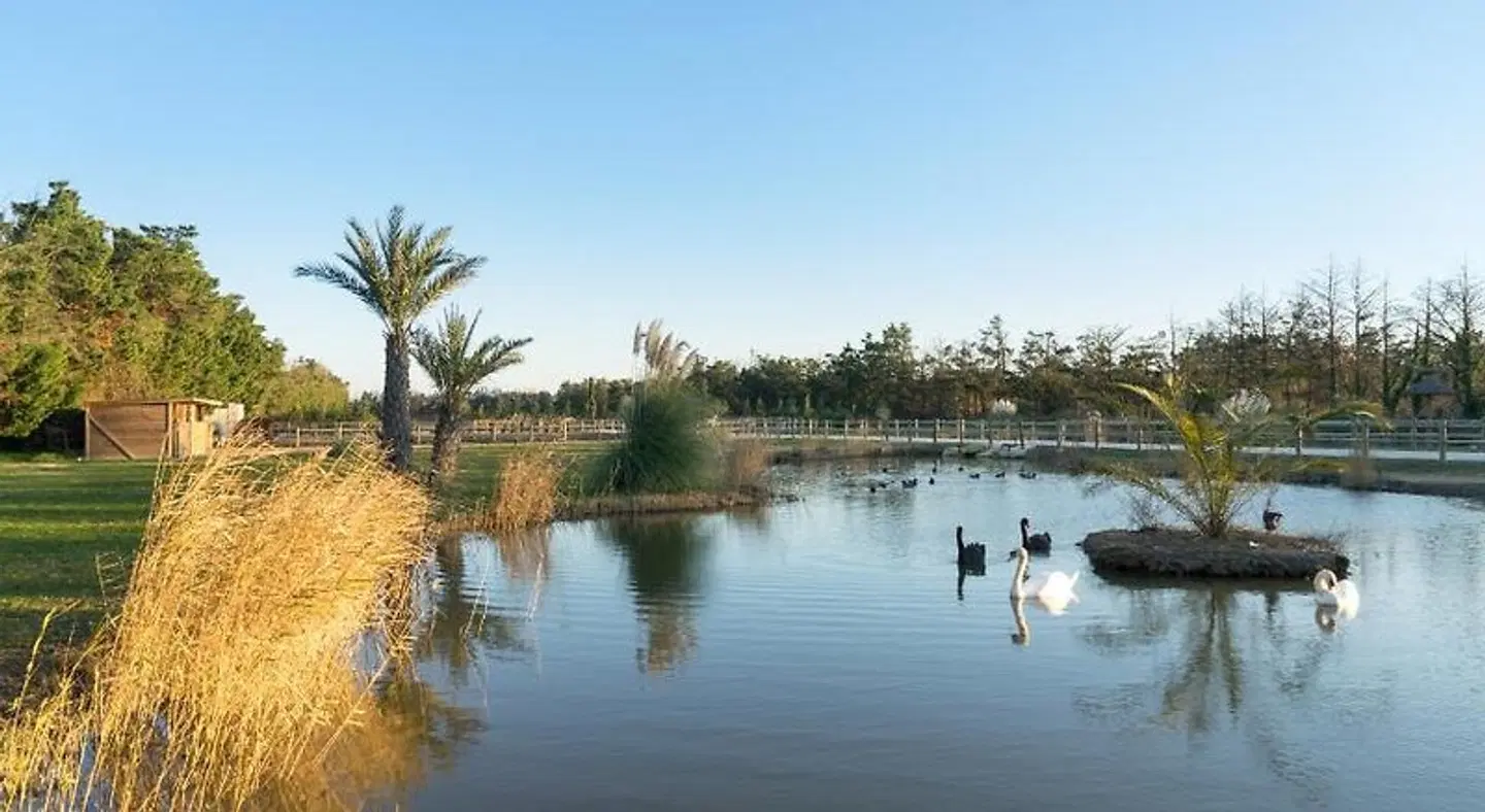 Abri Cosy OUTDOOR_POOL