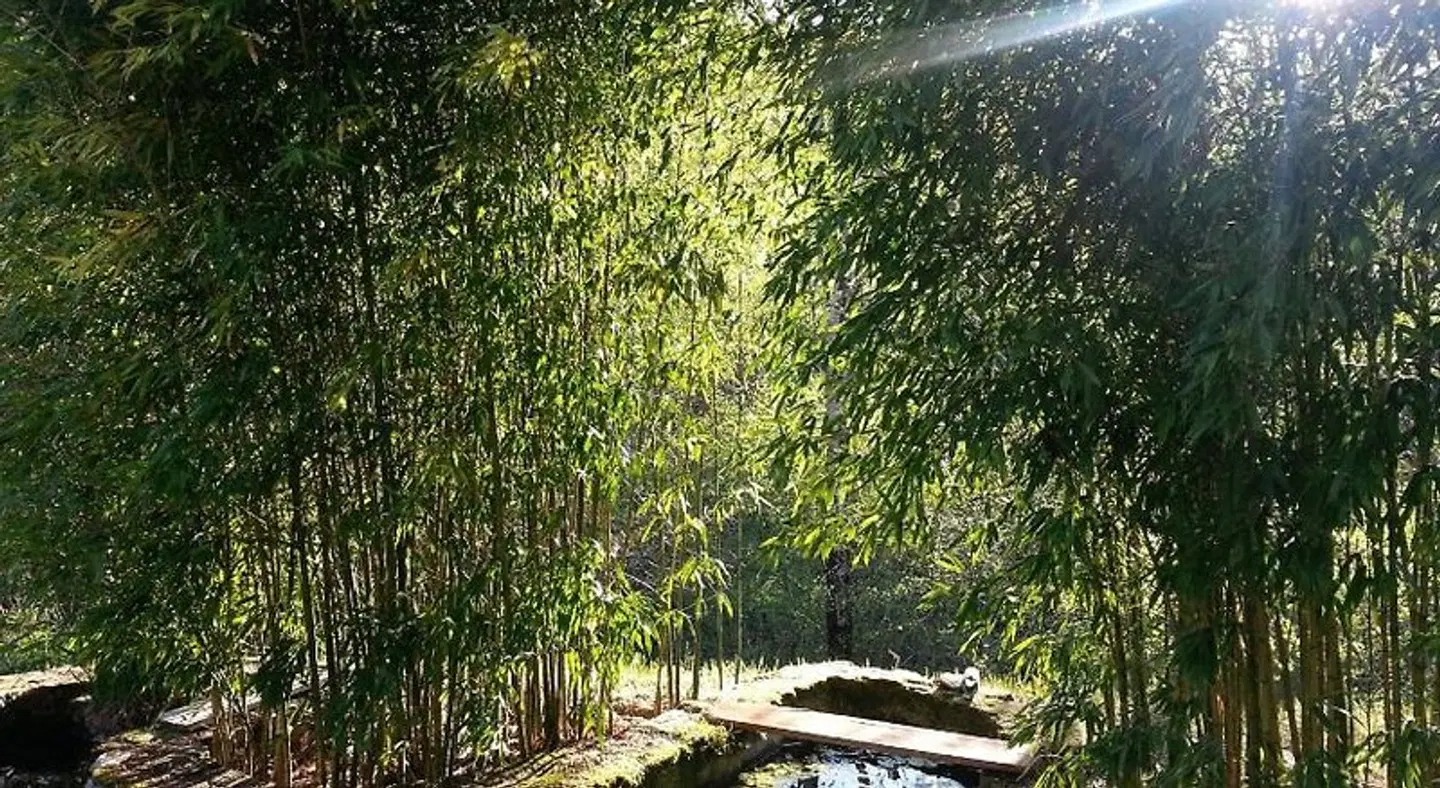 Moulin Lou Apmay Garten