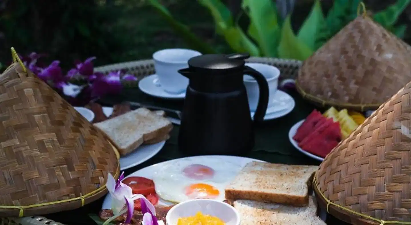 Cocco House Wellness