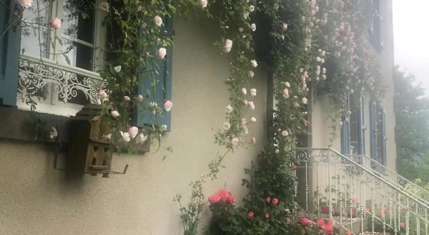 Le Figarelou HEALTH_BEAUTY
