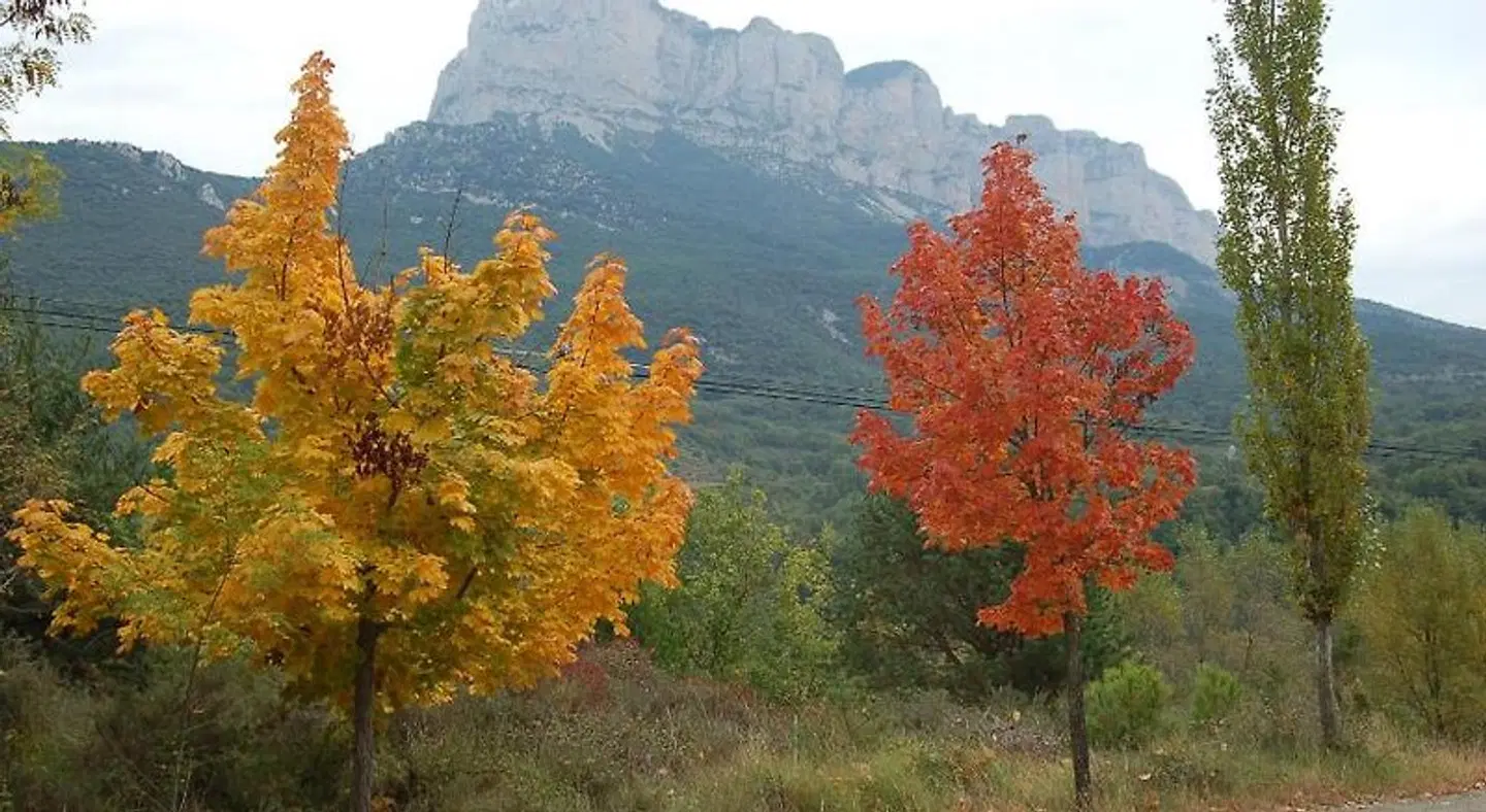 Apartamentos Borda Falceto LANDSCAPE