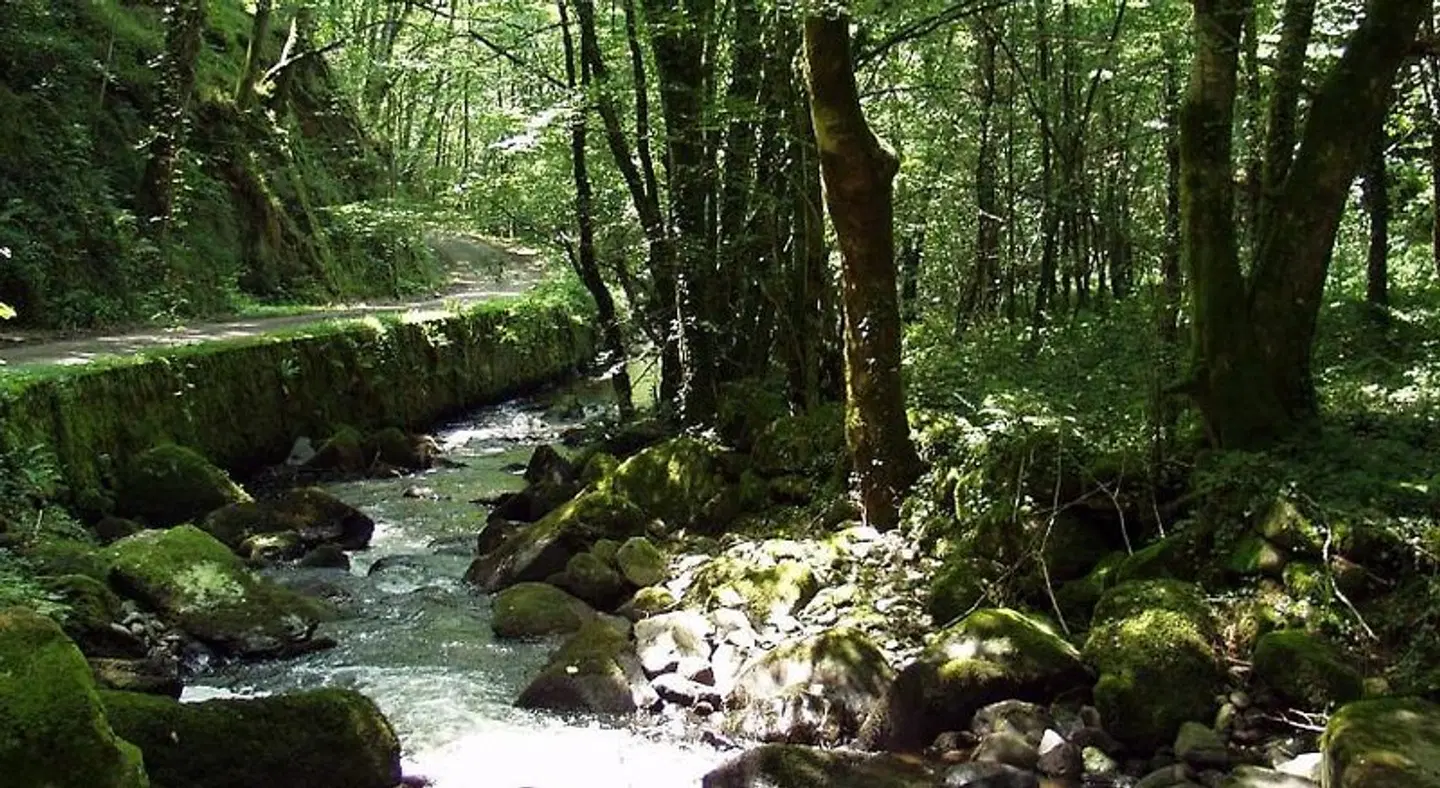 Domisiladore LANDSCAPE