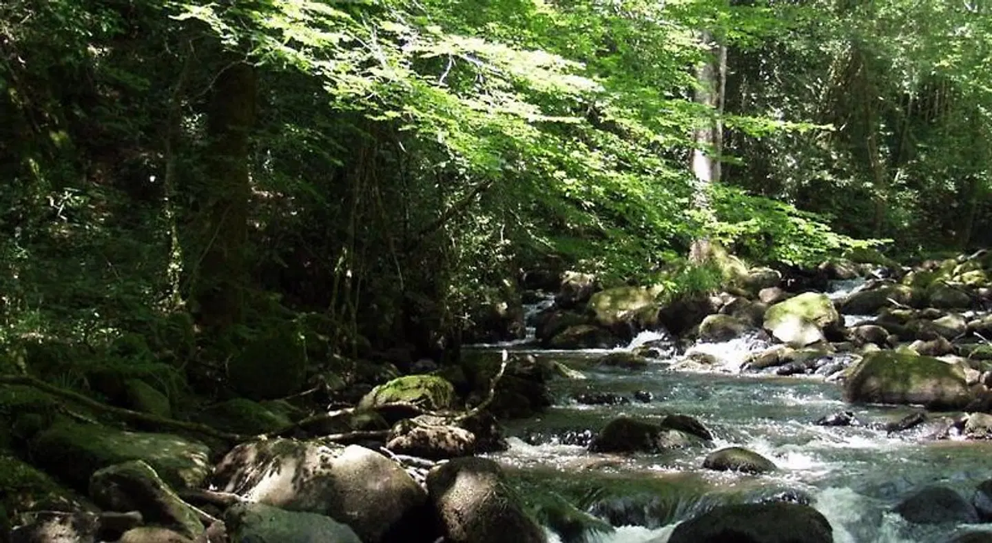 Domisiladore LANDSCAPE