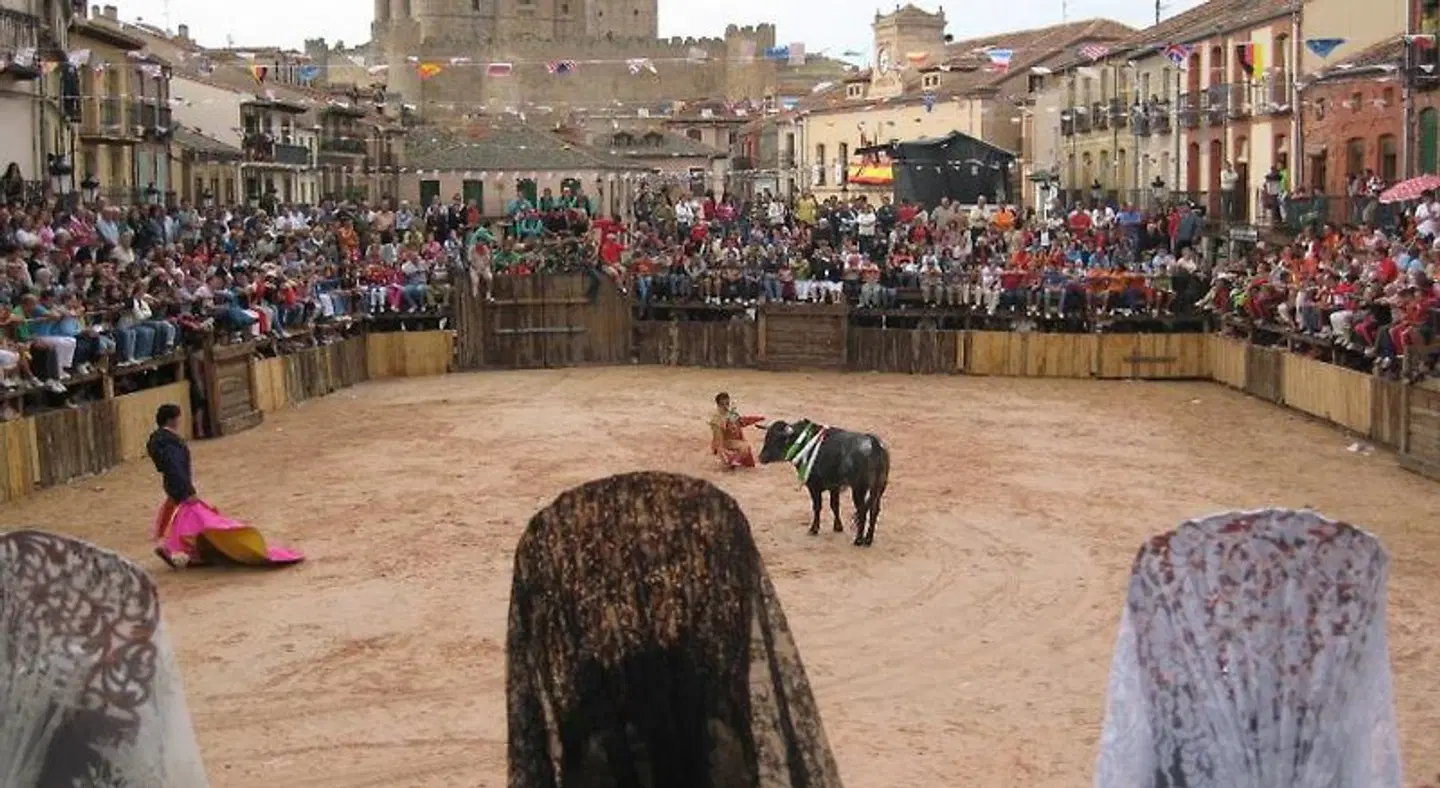 Posada el Zaguan Tiere