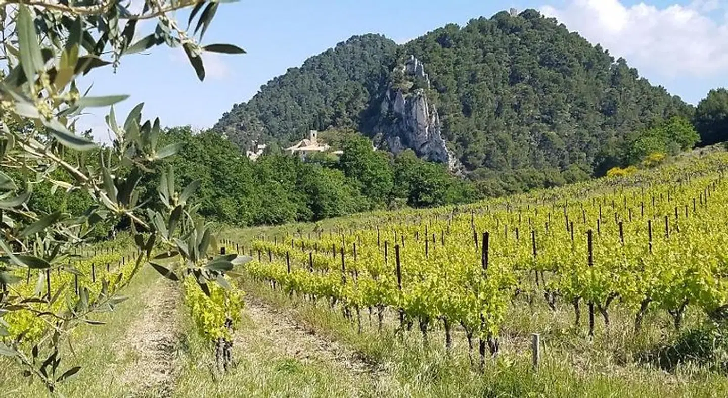 Maison d'hôtes La Fontaine au Loup LANDSCAPE
