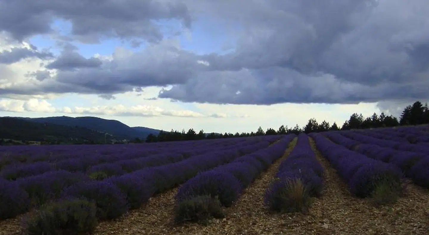 La Maison Bleue B&B LANDSCAPE