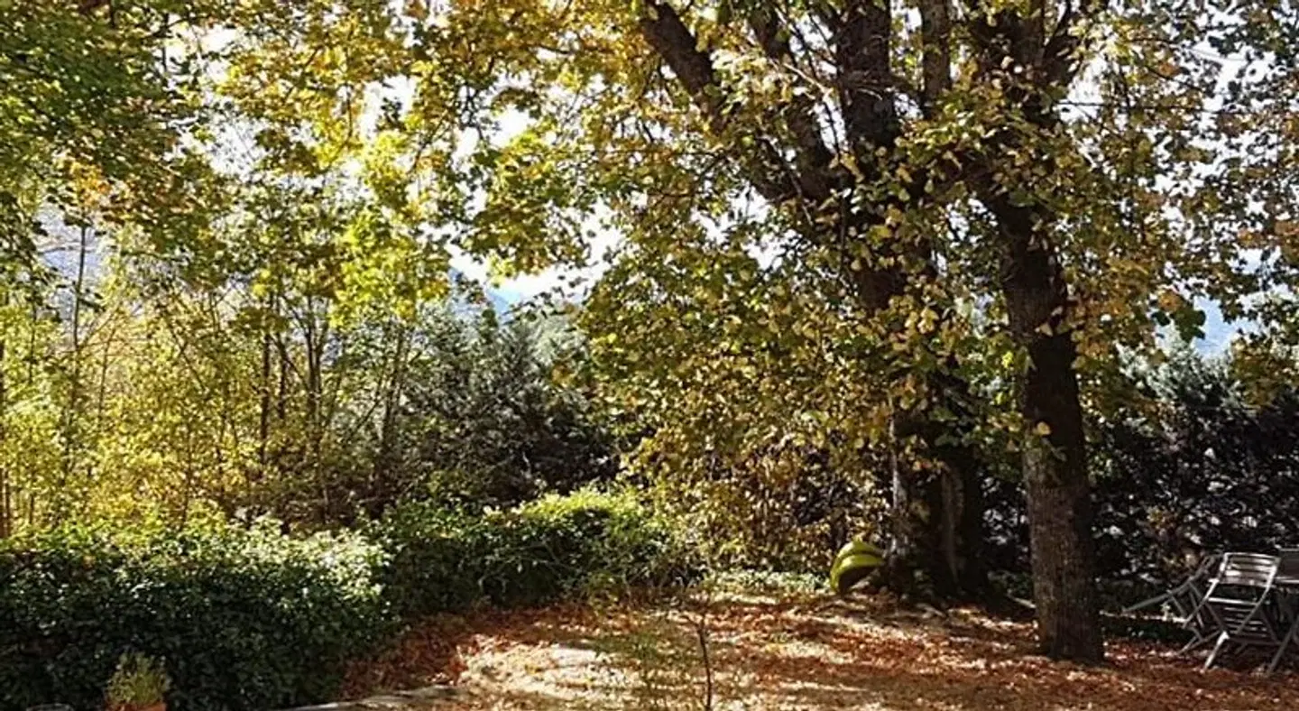 Chateau de Laric LANDSCAPE
