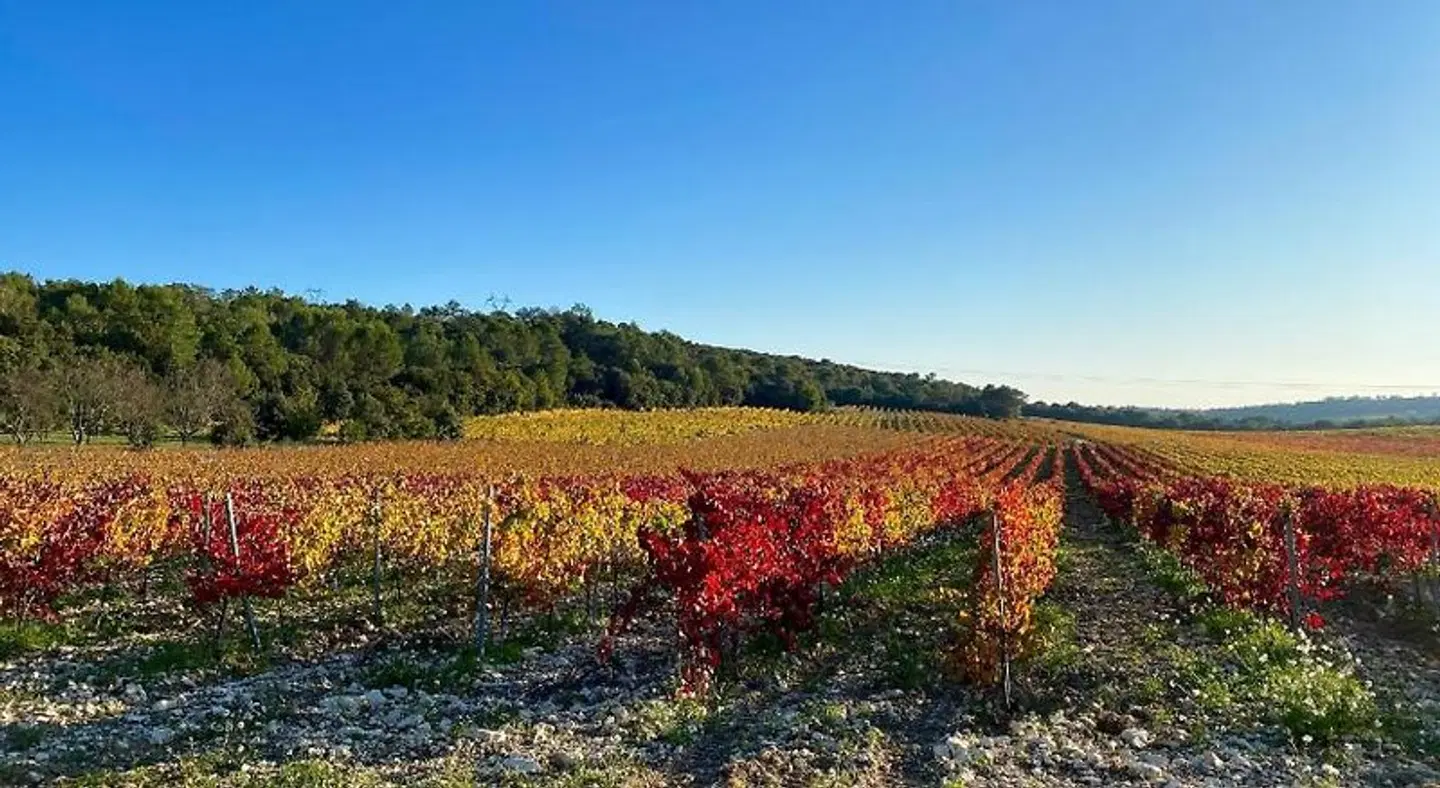 Domaine du Commandeur LANDSCAPE