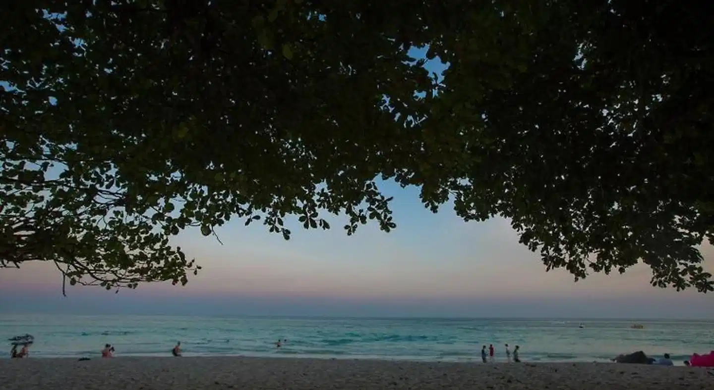 Long Beach Lodge Landschaft