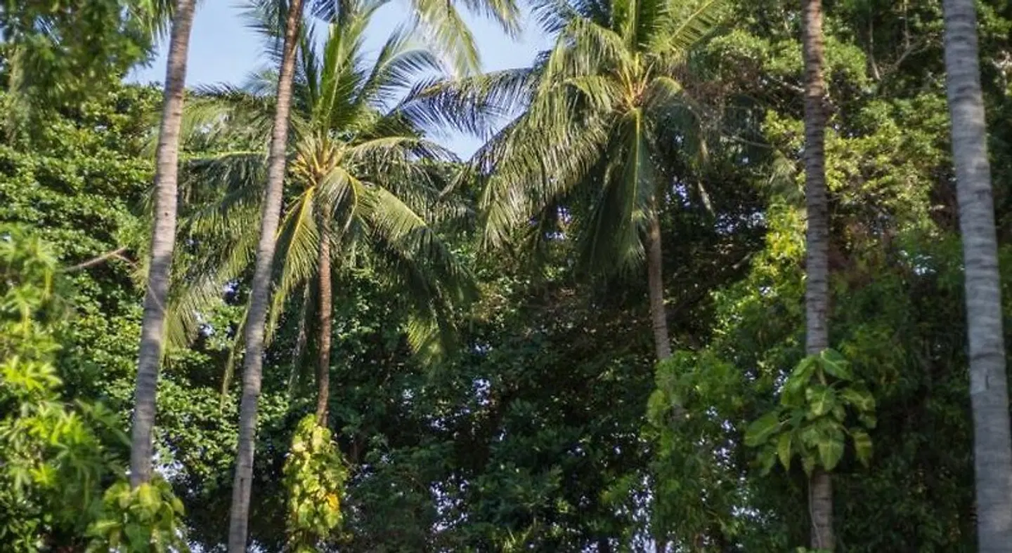 Long Beach Lodge Garten