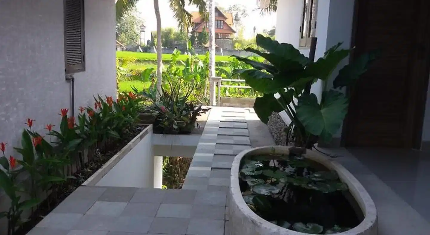 Blu Mango Garten